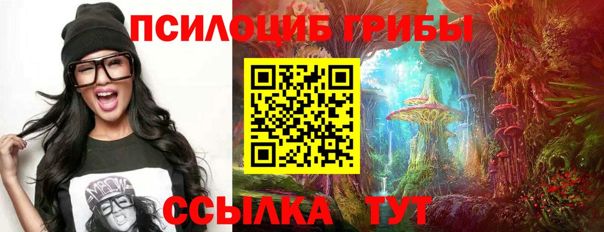 Псилоцибиновые грибы Psilocybe Самара