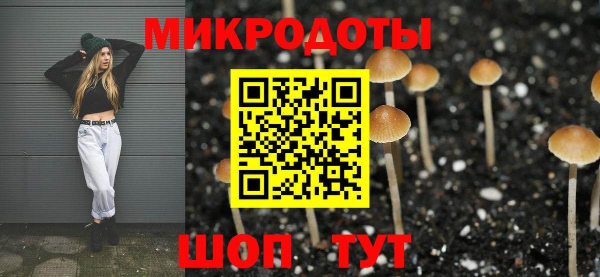 Псилоцибиновые грибы Cubensis  Вход с VPN  Самара  Псилоцибиновые грибы прущие грибы 